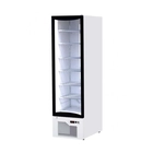 Armario expositor VAH340, 340 L, -24/-14 °C - Clima Hostelería