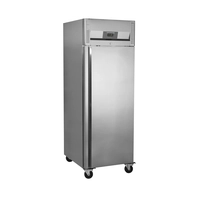 Armario Refrigerador Vertical GN2/1, 408 L, Forzada, Clase Energética A, -2 a +8 °C, 1 Puerta Batiente Maciza, RK710X1 - Tefcold
