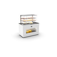 Módulo Caliente Vision Buffet Serie BUCV/BUSV/BUB - Sayl