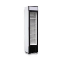 Armario Expositor Vertical Serie AE 175/275 TN - Mes Fred