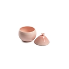 Globus Bowl Rosa Brillante - 100x100 Chef