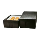 Contenedor Isotérmico Polibox Maxi Serie MAXI - Casfri