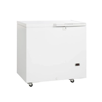 Congelador Médico SE20-45, 230 L, -45 a -5 °C - Tefcold