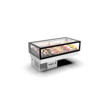 Vitrine Integra DROP-IN Série DP-120-20/DP-120-20C/IN-120-20N-DP - Sayl