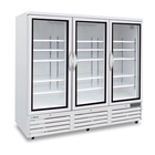 Armario Expositor ACE 1603 C, 1657 L, -22 / -18 °C, 3 Puertas - Masquefrio
