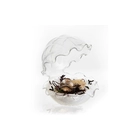Plato De Ostra, Borosilicato, 160/0049 - 100x100 Chef
