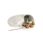 Escargot - 100x100 Chef