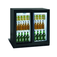 Back Bar UD209, 2829.630, 158 L, Armario de conservación de latas y botellas, Dos puertas deslizantes - Udex