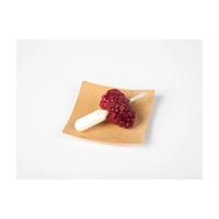 Pipetas Mini Polietileno, 100/0015, 500 uds - 100x100 Chef