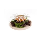Plato erizo, Borosilicato, 160/0050 - 100x100 Chef