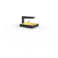 Módulo Calentador Buffet Portátil Serie BUS-PI2 - Sayl