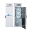 Armario Conservador de Hielo Serie ARMVERTGEL - Clima Hostelería