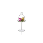 Campana Mini Con Plato y Pie - 100x100 Chef