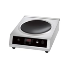 Placa Inducción BT350W, 2088.724, 230V, Precio Competitivo - Udi