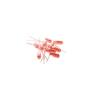 Pipetas Gastro Serie 100/001 - 100x100 Chef