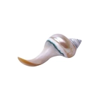 Soporte Nácar Caracol, Nácar, 100/0102 - 100x100 Chef