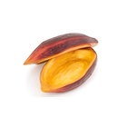 Baya De Cacao - 100x100 Chef