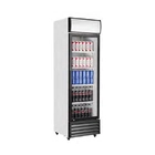 Armarios Expositores, Cristal Termoaislante, 2°C a 10°C, 1 Puerta, DBQ-350-L - Casfri