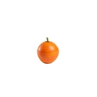 Bol Naranja - 100x100 Chef
