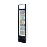 Armario Refrigerado Slime Line, CSL-160, 160 Litros, +2 / +8 °C - Clima Hostelería