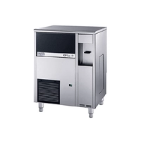 MAQUINA HIELO ICE WATER IW 45A, 25 kg, 2116.273 - Udex