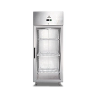 Armario Congelador, 550 L, -18 a -22 °C, 2929.032 - Udex