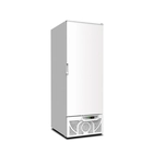 Armario CHEF Serie CHEF 600 P - Masquefrio