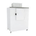 Cabina Para Conservación De Sacos De Hielo En Exteriores Serie CABIN - Masquefrio