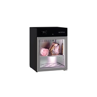 Armario Madurador Dry Aging Serie AC 140/280 MDAB - Infrico