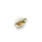 Plato Caracola - 100x100 Chef