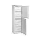 Armario CNG 350 DP, 233 L, -25 / -17 °C - Masquefrio