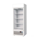 Armario Expositor VAH400V, 400 L, -24/-14 °C - Clima Hostelería