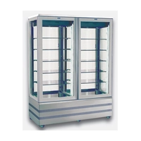 Armario Expositor TN Y BT - 2 Puertas - No Frost -  +5 / -25 ºC - EVO 8400 NFN - Difriho