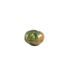 Bol Tomate Verde - 100x100 Chef