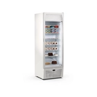 Armario Expositor EXPO 400 NST, 282 L, -25/-15 °C - EXPO 400 NST
