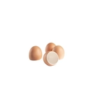 Huevos de porcelana Naranja - 10 uds. - 100x100 Chef